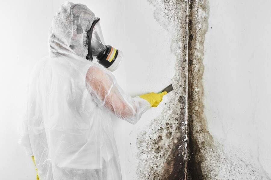 Mold Remediation by Scene Cleaners