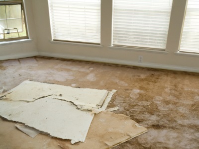 Water damage restoration in Cary by Scene Cleaners